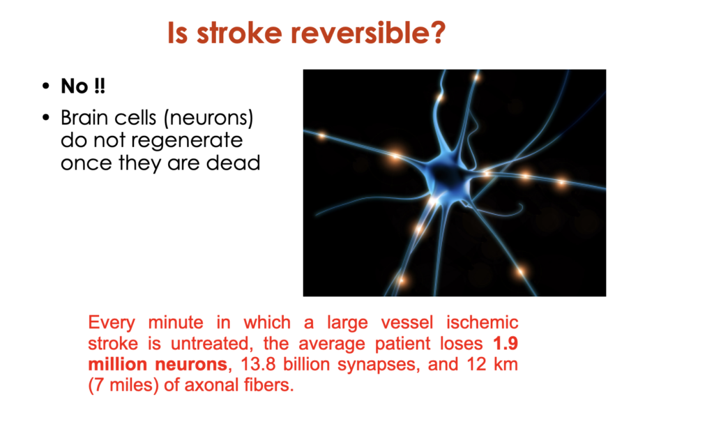 Illustration explaining stroke reversibility with early medical treatment
